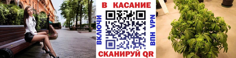 Где купить Зима Бошки Шишки  Кокаин  МЕТАМФЕТАМИН  ГАШИШ  НБОМе  A-PVP 