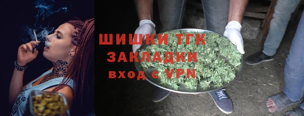 прущие грибы Вязники