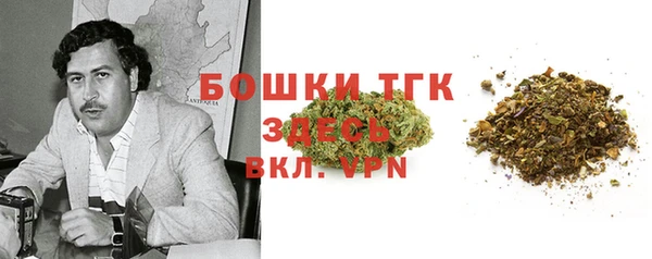 прущие грибы Вязники