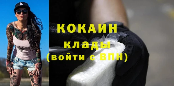 МДПВ Вяземский