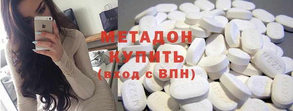 прущие грибы Вязники