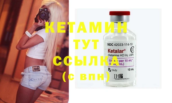 прущие грибы Вязники