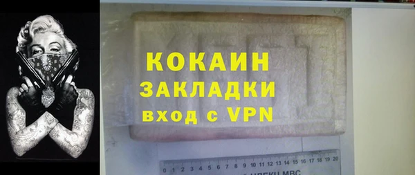 прущие грибы Вязники