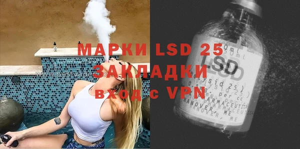 прущие грибы Вязники