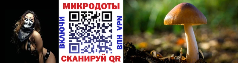 Псилоцибиновые грибы мицелий  купить наркоту  Зима 